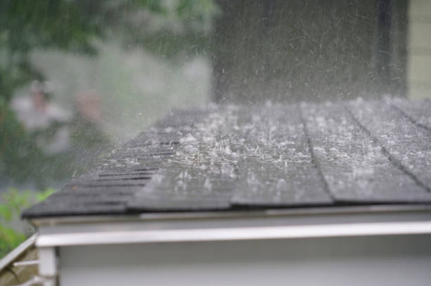 Best Storm Damage Roof Repair  in Warrenton, MO