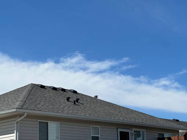 Best Commercial Roofing Services  in Warrenton, MO